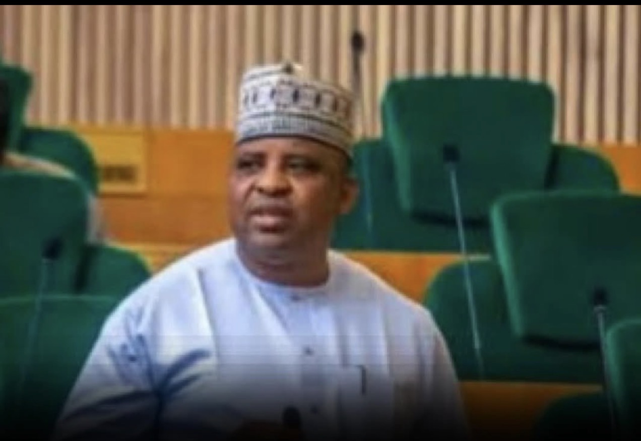 Terrorists Have Taken Over Kainji Park – Niger Rep Member Laments After Escaping Assassination