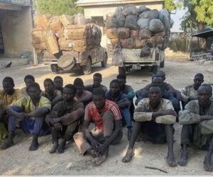 Troops Arrest 22 Suspected Terrorist Logistics Suppliers in Borno
