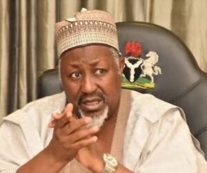 Bandits Now Hiding Deep in Forests to Escape Air Strikes – Defence Minister