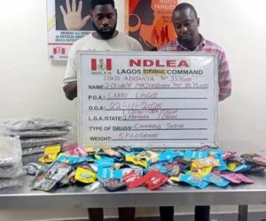 NDLEA Busts Drug Syndicate Selling Cannabis as ‘Christmas Cookies’ on WhatsApp