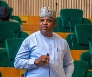 House of Reps member, Ali Damisa escapes death in Niger State