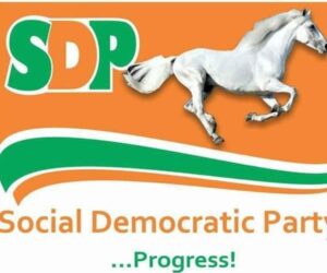 Ekiti 2026: Bankole best to lead SDP to victory – Party chieftain