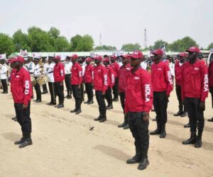 How Much Does NDLEA Pay? Full Salary Breakdown (2025 Update)