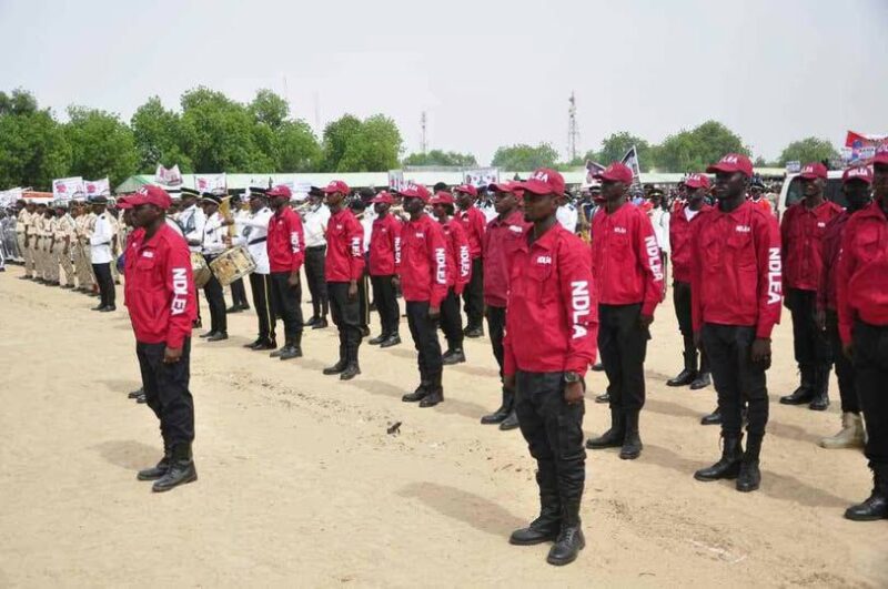 How Much Does NDLEA Pay? Full Salary Breakdown (2025 Update)