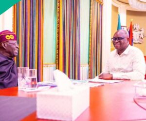 Tinubu Sends Message as Former Gov Fayose Turns 65