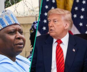 Breaking: “High Treason,” APC, Presidency React as New PDP Chairman Calls on Trump for Help