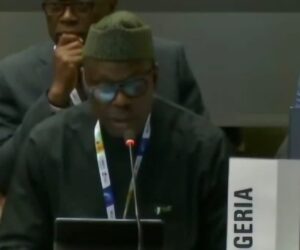 Nigerian govt tightens tobacco control, imposes $110m fine on BATN