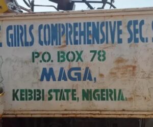 Amnesty International condemns abduction in Niger State, criticises Tinubu’s security measures