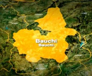 Breaking: Top Northern Governor Declares Friday as Public Holiday, Gives Reason