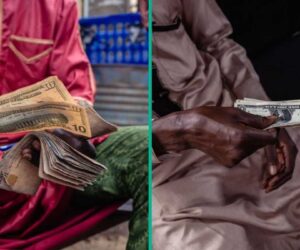 Naira Falls Against US Dollar Despite Foreign Reserves Surge to 7-Year High of $46.7bn