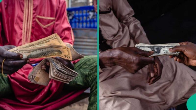 Naira Falls Against US Dollar Despite Foreign Reserves Surge to 7-Year High of $46.7bn