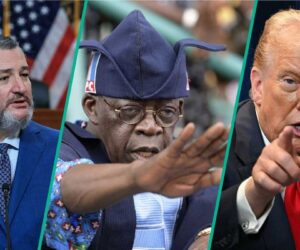 Breaking: US Senator Ted Cruz Declares War on Nigeria’s Sharia, Blasphemy Laws With New Bill