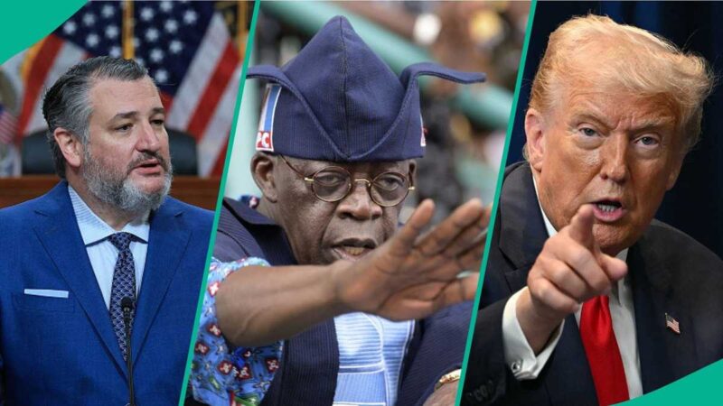 Breaking: US Senator Ted Cruz Declares War on Nigeria’s Sharia, Blasphemy Laws With New Bill