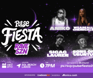 What DJs Are Playing at Pulse Fiesta 2025? Only Lagos’ Finest