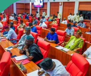 Breaking: Senate Makes Capital Recommendation for Kidnapping