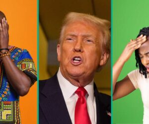 List of Insults and Verbal Attacks from Trump Against Nigeria Since He Became US President