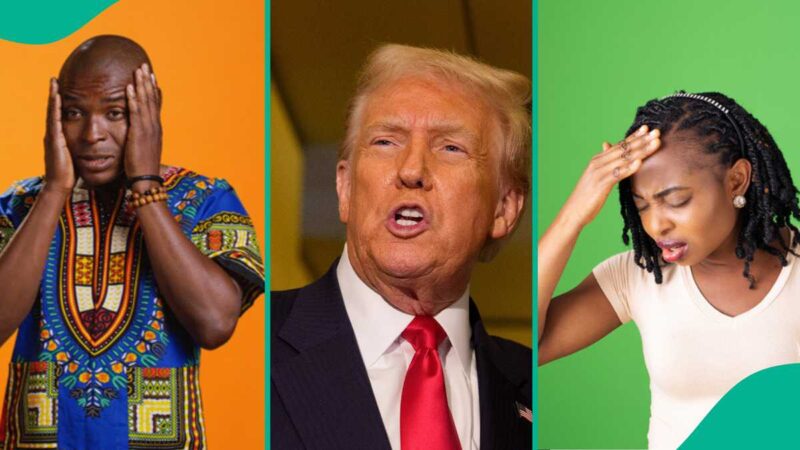 List of Insults and Verbal Attacks from Trump Against Nigeria Since He Became US President