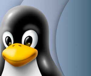 Guess who’s back? Kaspersky launches new Linux antivirus for $59.99