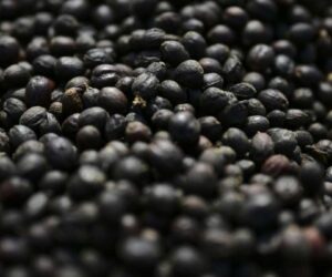 Trump signs order to lower tariffs on beef, coffee, other goods