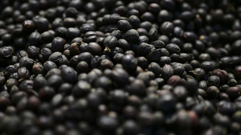 Trump signs order to lower tariffs on beef, coffee, other goods