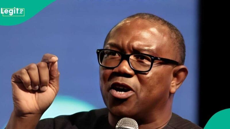 Anambra Guber Election: Peter Obi Mentions His Personal Interest