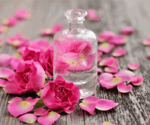 How to Make Rose Water: Simple DIY Method for Fresh, Natural Rose Water