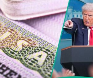 BREAKING: US Announces 2 Categories of Applicants Who Will Now Begin to Deny Visas