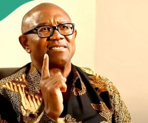 Nnamdi Kanu: Buhari’s Ex-Aide Drags Peter Obi, Lists IPOB Leader’s Confessions