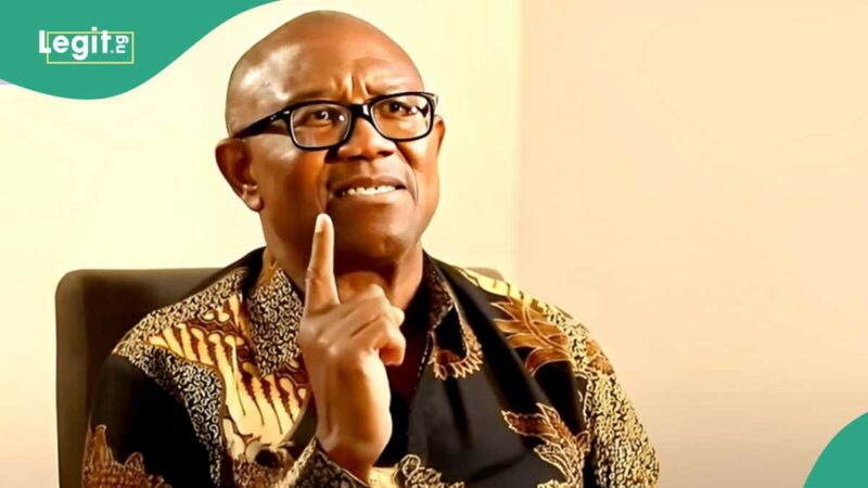 Nnamdi Kanu: Buhari’s Ex-Aide Drags Peter Obi, Lists IPOB Leader’s Confessions