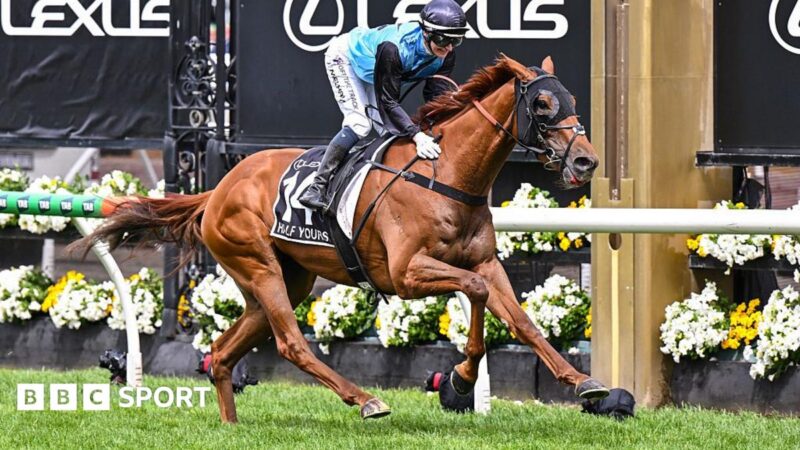 Melbourne Cup: Half Yours wins Australia’s famous horse race