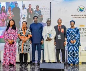 Adelabu Pledges Stronger Partnerships For Renewable Energy