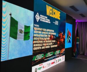 Governor Radda showcases Katsina’s investment potential at G20