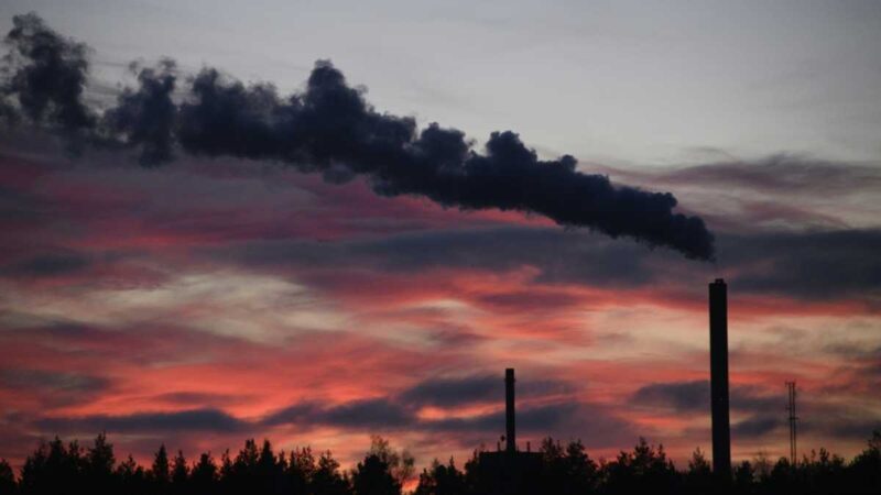 World’s fossil fuel emissions to hit new record in 2025: study