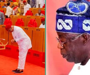 Breaking: Tinubu Asks Senate, Reps to Do 1 Thing on State Police
