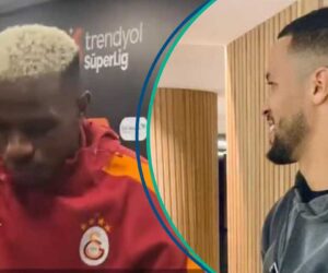 8 Players Report to Super Eagles Camp As Osimhen Is Spotted Rushing to Istanbul Airport