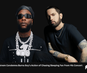 Eminem Condemns Burna Boy’s Action of Chasing Sleeping Fan From His Concert