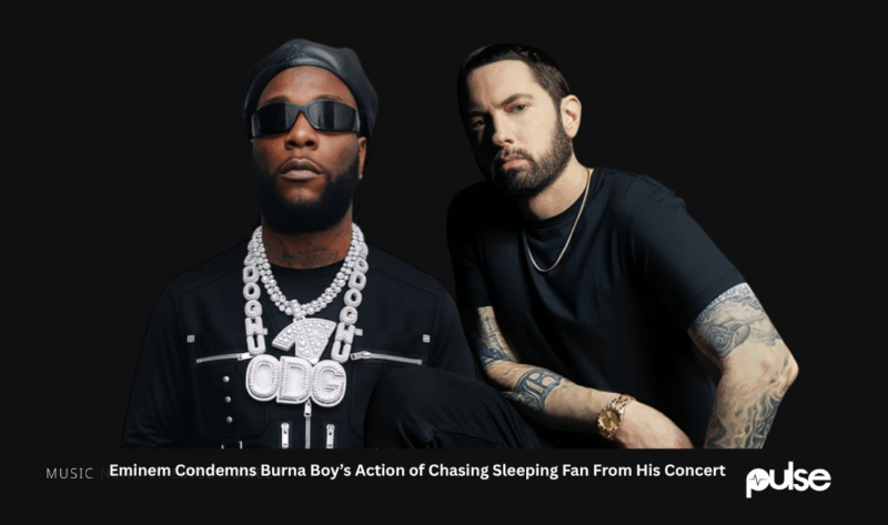 Eminem Condemns Burna Boy’s Action of Chasing Sleeping Fan From His Concert