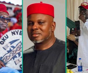 AnambraDecides 2025: List of 4 Key Governorship Candidates Who May Emerge Winner