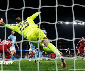 Liverpool v Man City: Howard Webb backs officials over disallowed Reds goal