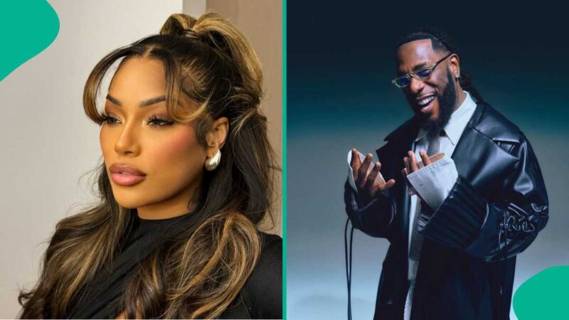 Stefflon Don Allegedly Shares Reason for Parting Ways With Burna Amid Show Boycott Saga
