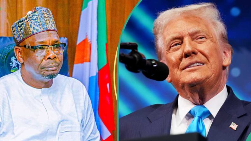 Nigerian Governor Who Lived in America Explains Real Reasons Behind Trump’s Threats