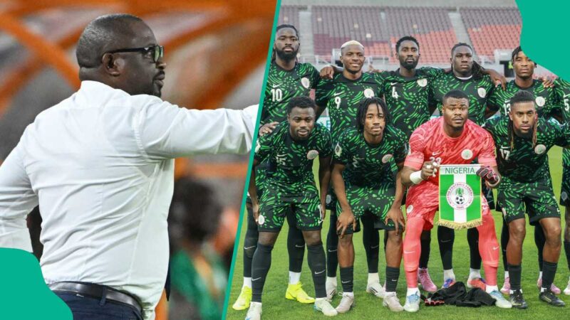 Gabon Coach Disclose Tactics to Frustrate Super Eagles in World Cup Playoff