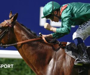 Cartier Racing Awards: Calandagan named horse of the year