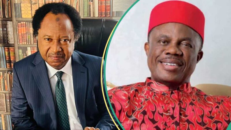 Willie Obiano: Shehu Sani Mentions Privilege Ex-Anambra Governor Enjoyed About His Rumoured Death