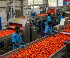 FG Urges Stakeholders To Prioritise Domestic Agro-processing