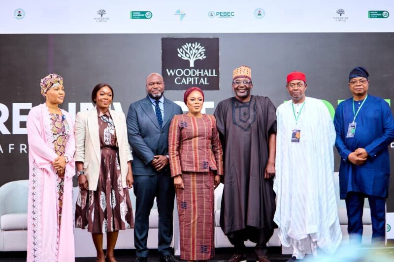 Woodhall Capital targets $50bn in global investments to drive Nigeria’s development