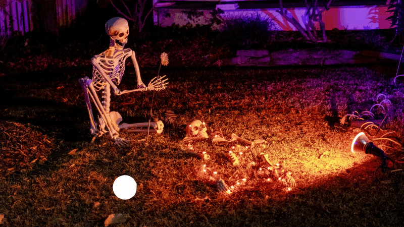 Can You Handle It? 5 Scary Halloween Movies to Stream Right Now