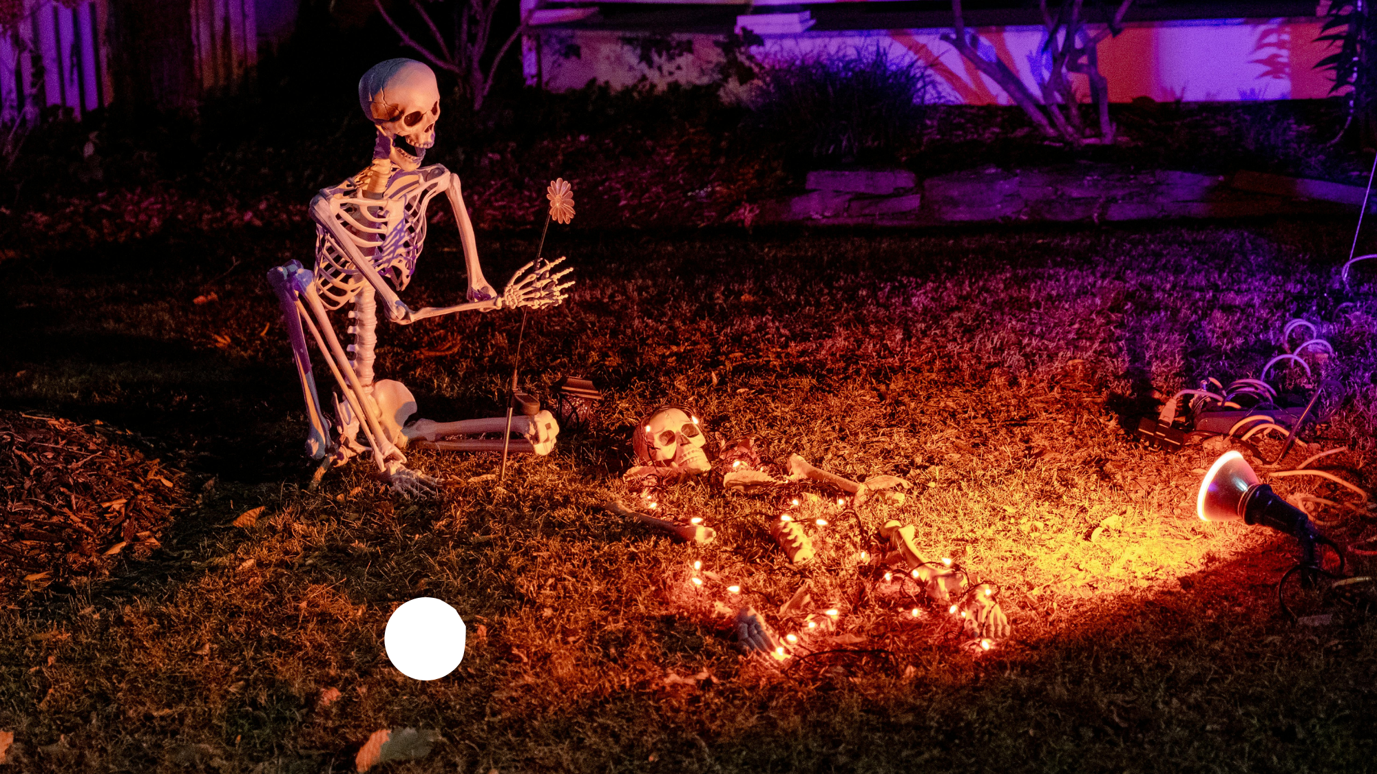 Can You Handle It? 5 Scary Halloween Movies to Stream Right Now