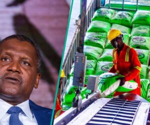 Dangote Partners With German Company To Build New Fertiliser Plants in Lagos