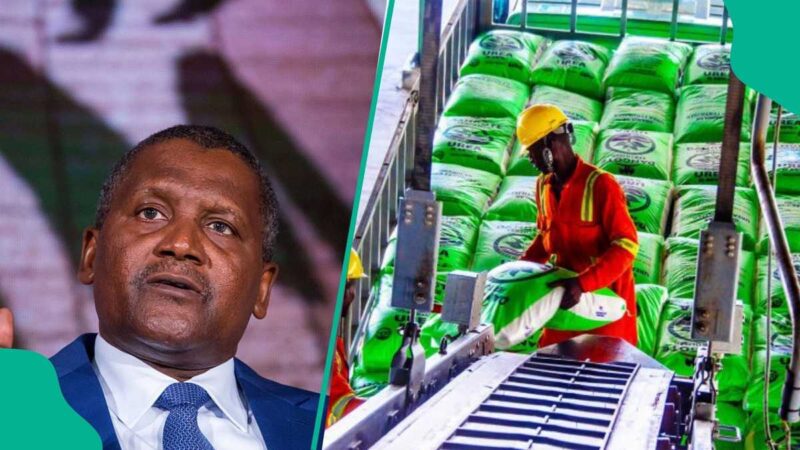 Dangote Partners With German Company To Build New Fertiliser Plants in Lagos